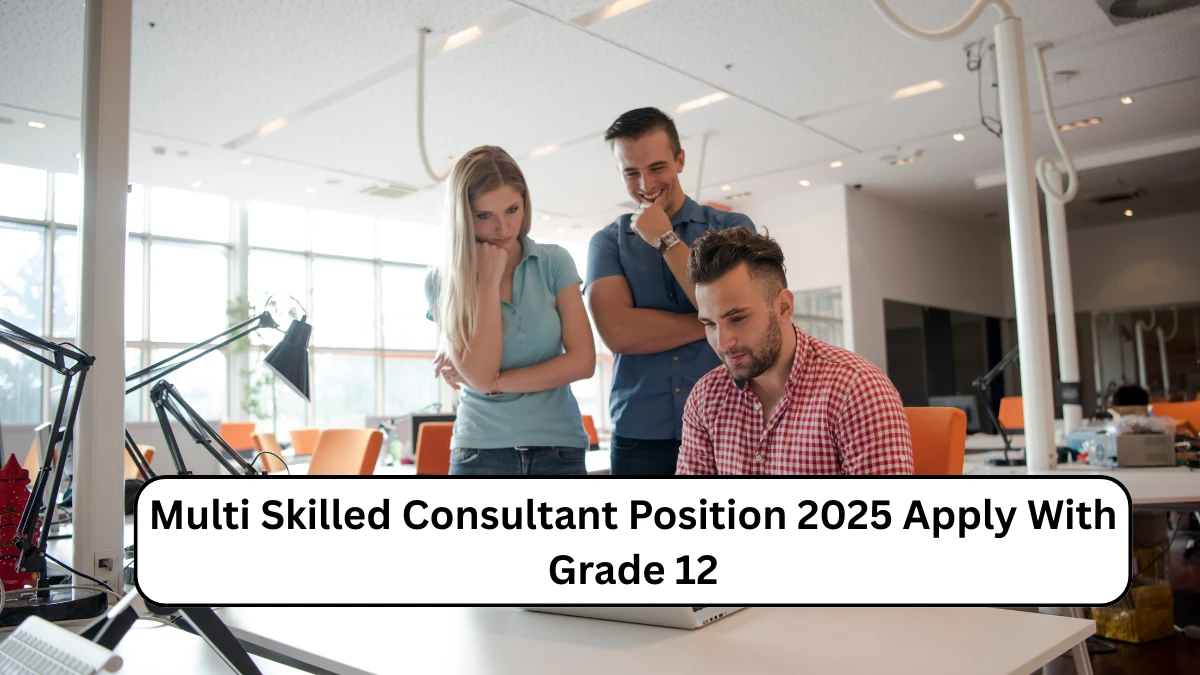 Multi Skilled Consultant Position 2025 Apply With Grade 12