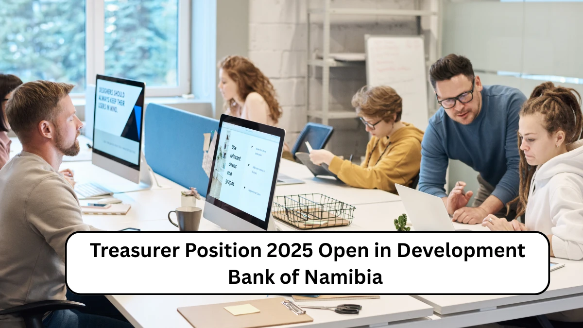 Treasurer Position 2025 Open in Development Bank of Namibia