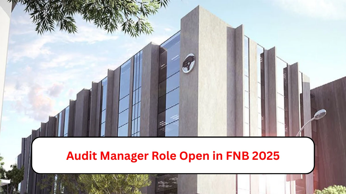 Audit Manager Role Open in FNB 2025