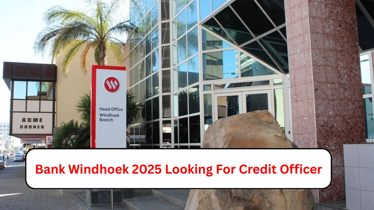 Bank Windhoek 2025 Looking For Credit Officer