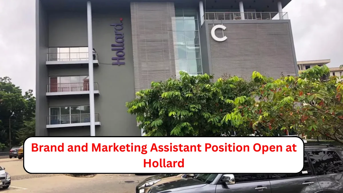 Brand and Marketing Assistant Position Open at Hollard