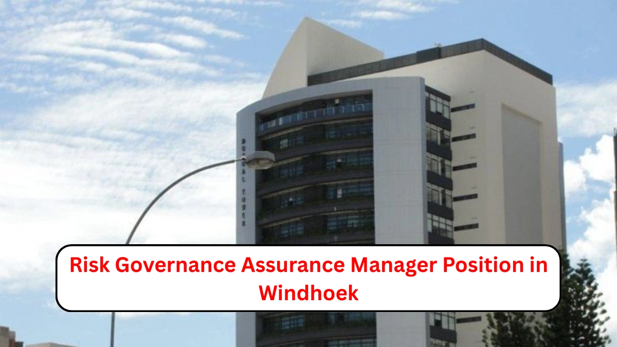Risk Governance Assurance Manager Position in Windhoek
